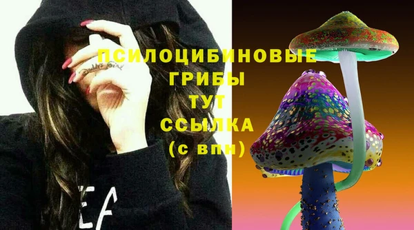 дмт Горно-Алтайск